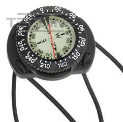 Compass with elastomeric bungee